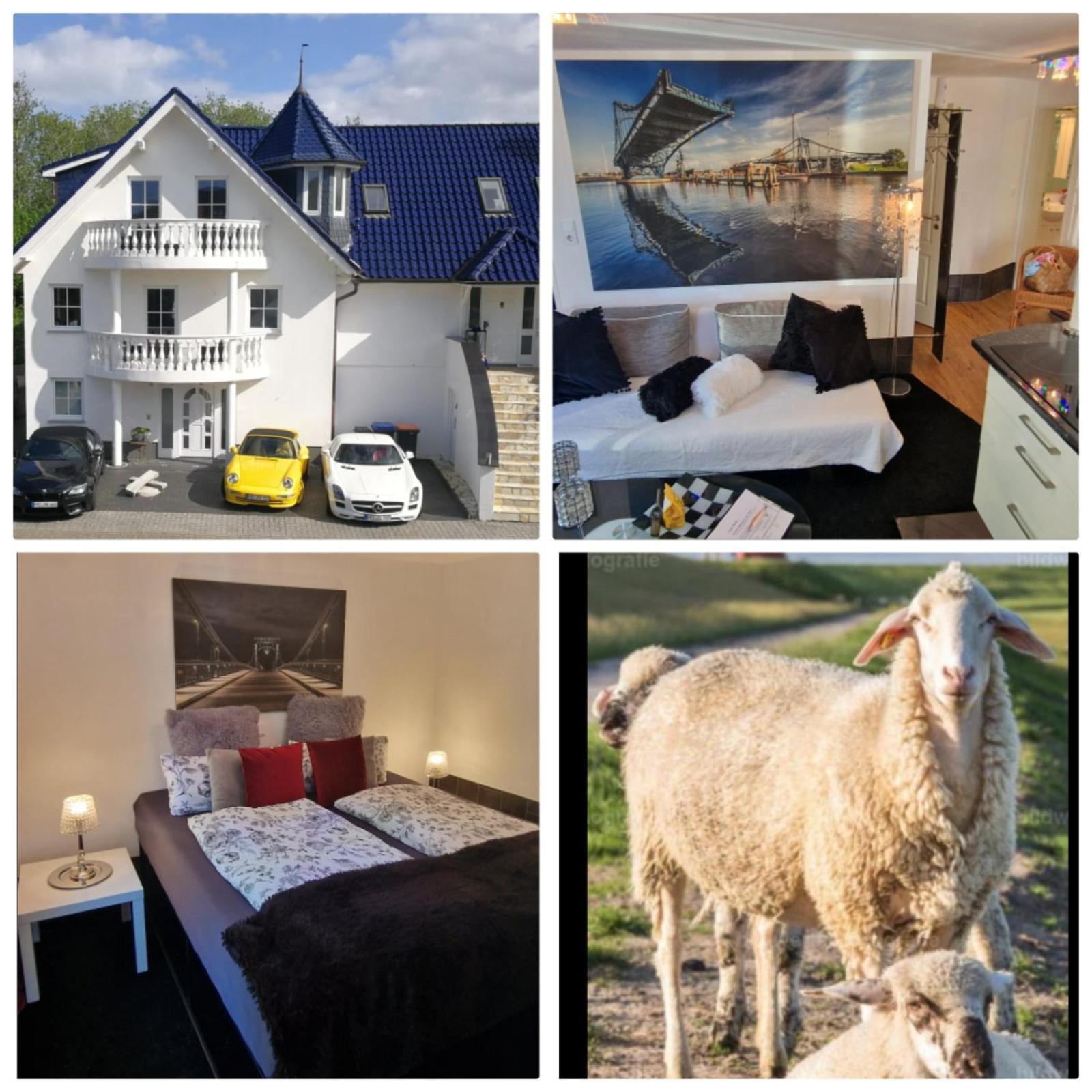Am Alten Deich Apartment *